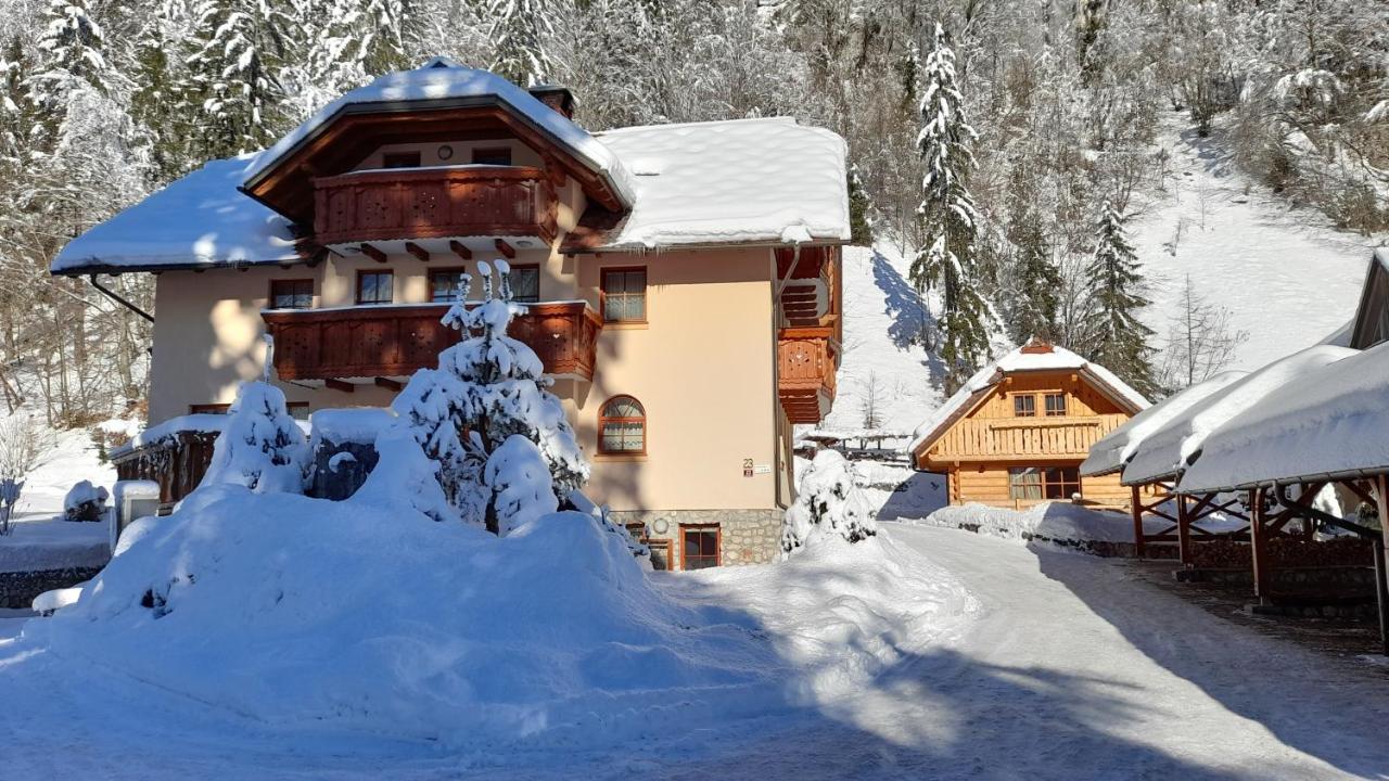Apartma In Bungalov Jezerci Gozd Martuljek Bagian luar foto